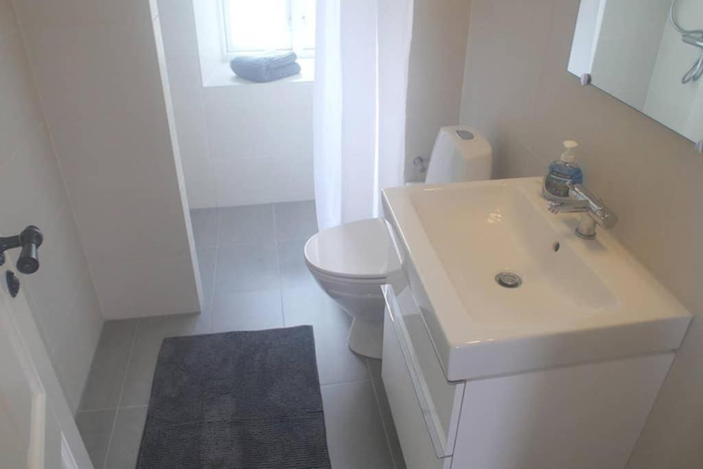 Next To New Harbor / 3 Bedroom & 2 Bath Rooms Kopenhagen Bagian luar foto